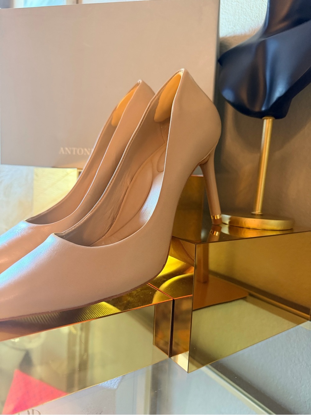ANTONIO MELANI Blush Nude Pointed-Toe Stiletto Pumps - Picture 3 of 11